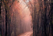 亚星体育官网：英媒：帕尔默和马杜埃凯已回归切尔西合练.