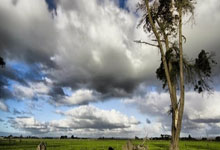 亚星体育官网：80五虎全员觉醒，连续两站四人进八强，国锦赛成.